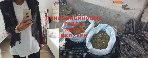 дживик Горнозаводск
