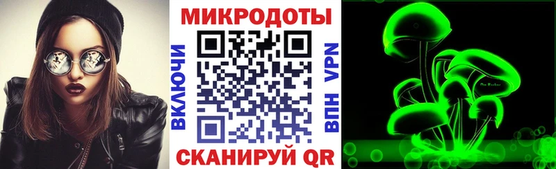 Галлюциногенные грибы Psilocybe  Купить  Аша 